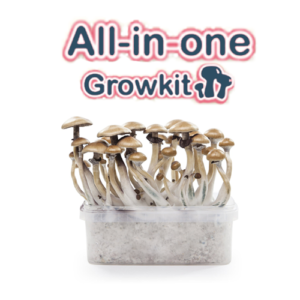 All-in-one Growkits
